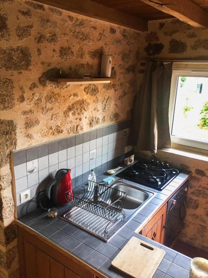 Les Châtelliers-Châteaumur Demeure Du Castel Bed & Breakfast エクステリア 写真